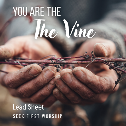 You are the Vine - Lead sheet